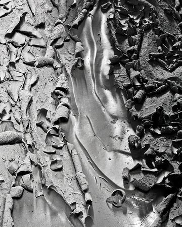 Cracked Mud Detail - Buckskin, Gulch, Utah.