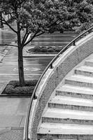Wet Streets and Stairs