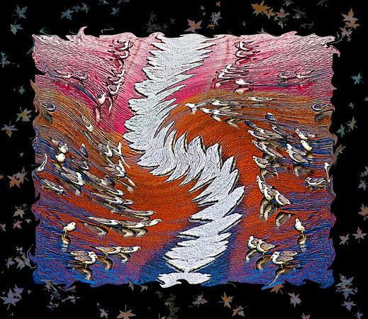 Seagull Tapestry
