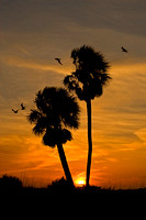 Sunset - Ft. DeSoto, Florida