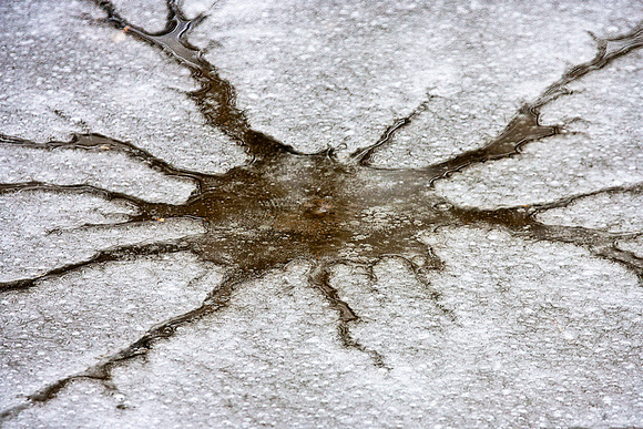 Dendritic Ice Formation