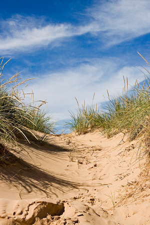 Dune path